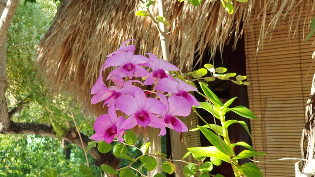 Angel Island Eco Resort Resort 3*
